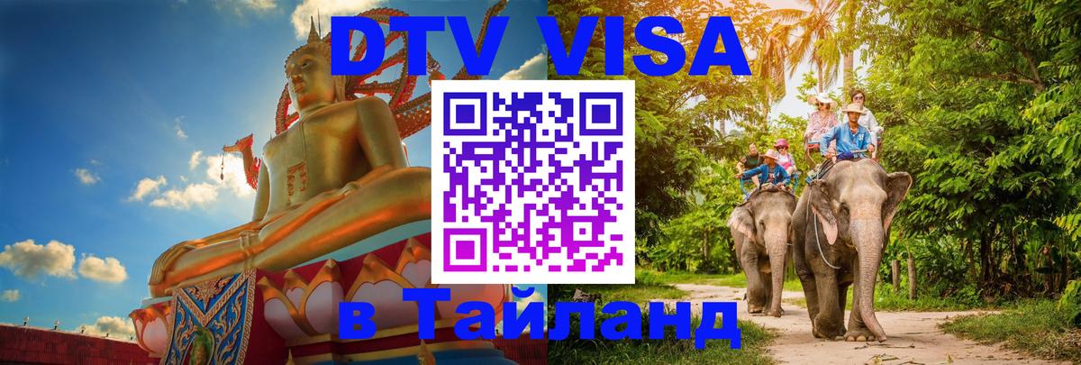 Сколько стоит DTV виза — актуальные цены, оформление даже без документов - Якутск  04.10.2025 